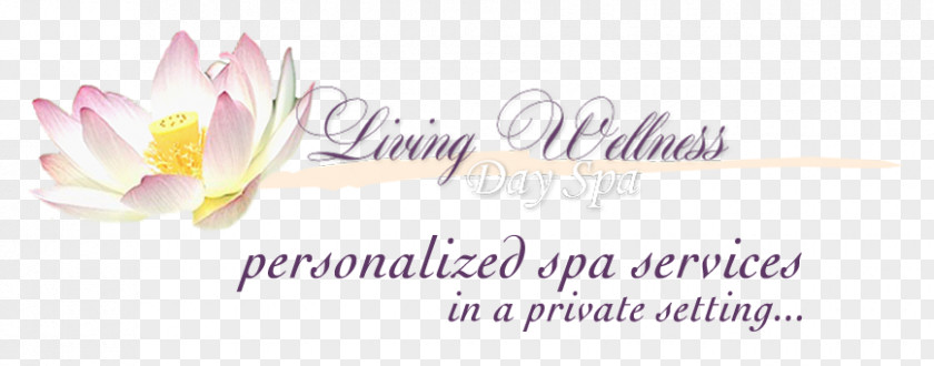 Massage Spa Living Wellness Day Hot Springs Facial PNG