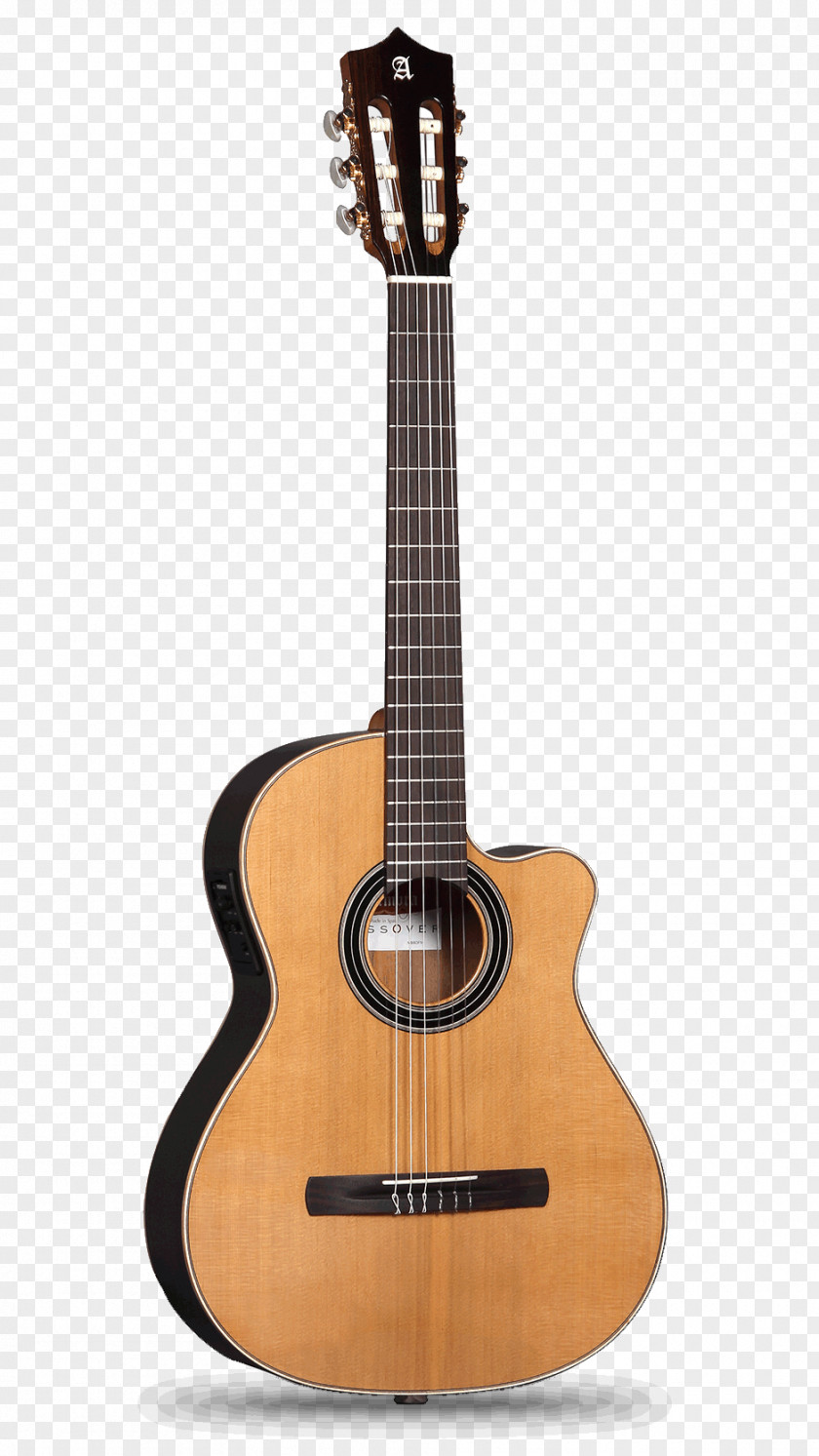 Acoustic Guitar Parlor Classical Musical Instruments PNG
