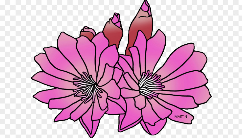 Bitterroot Cartoon Montana Clip Art Flower Image PNG