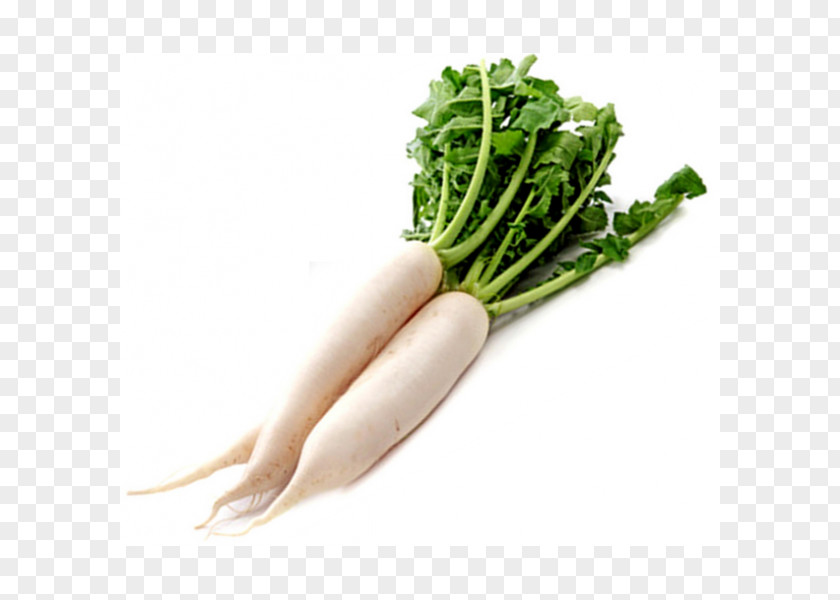 Carrots Daikon Dal Root Vegetables Food PNG