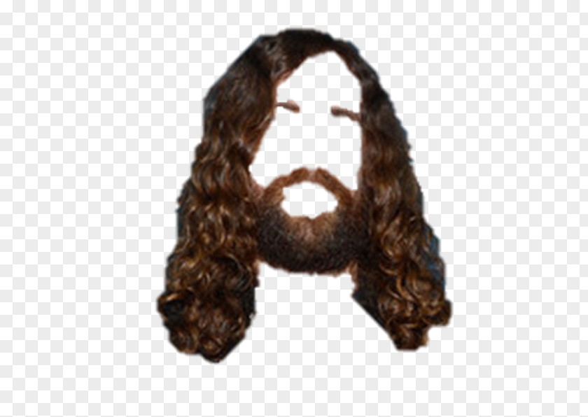 Hairs Wig Hairstyle PNG