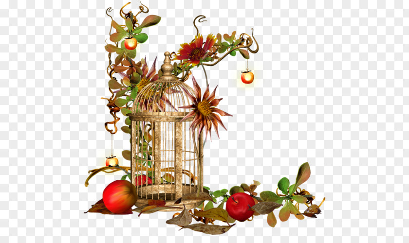 Mouse Cage Clip Art Autumn Image Vector Graphics PNG