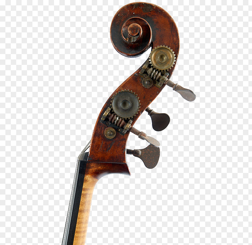 Violin Cello Viola Double Bass PNG