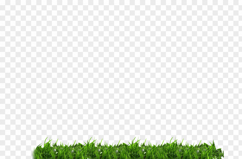 Green Grass Download Icon PNG