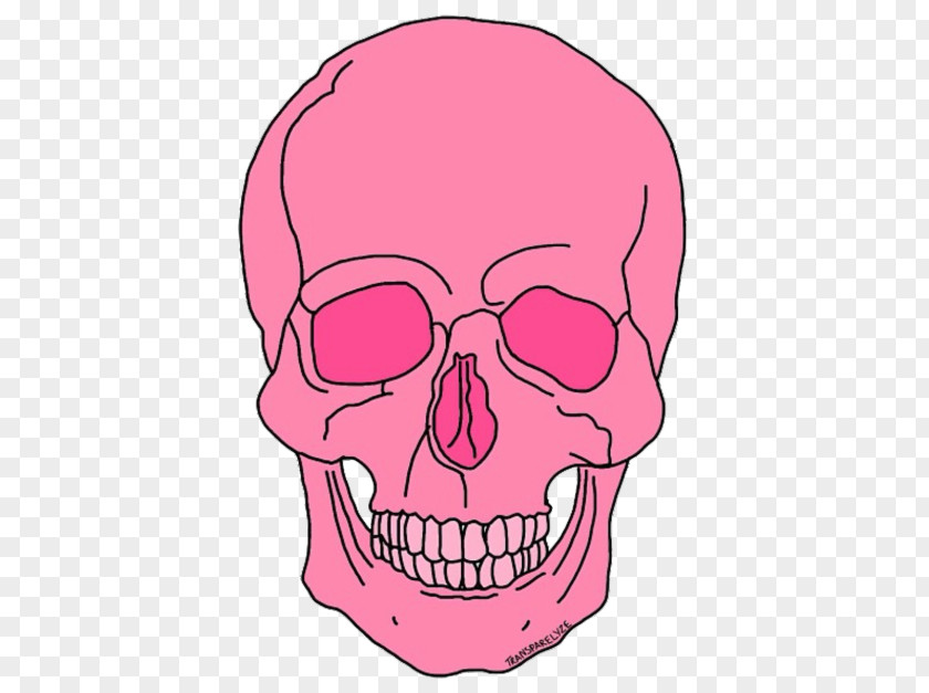 Indie Night Skull Skeleton Overlay PNG