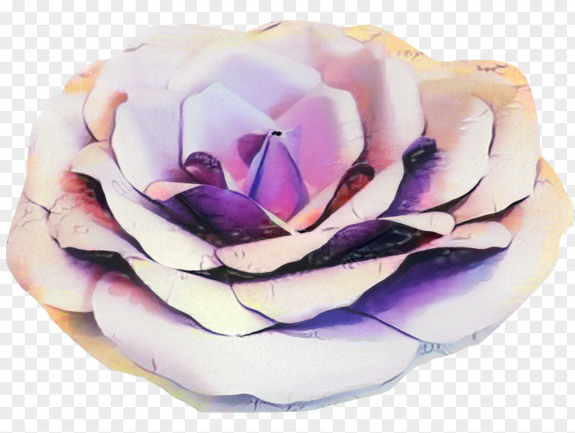 Magnolia Rose Order Wedding Flower Background PNG