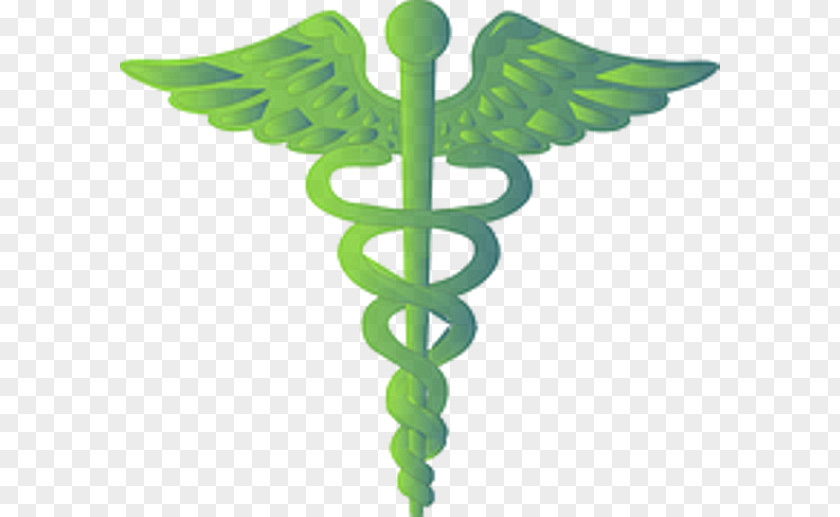 Physician Staff Of Hermes Medicine Logo Clip Art PNG
