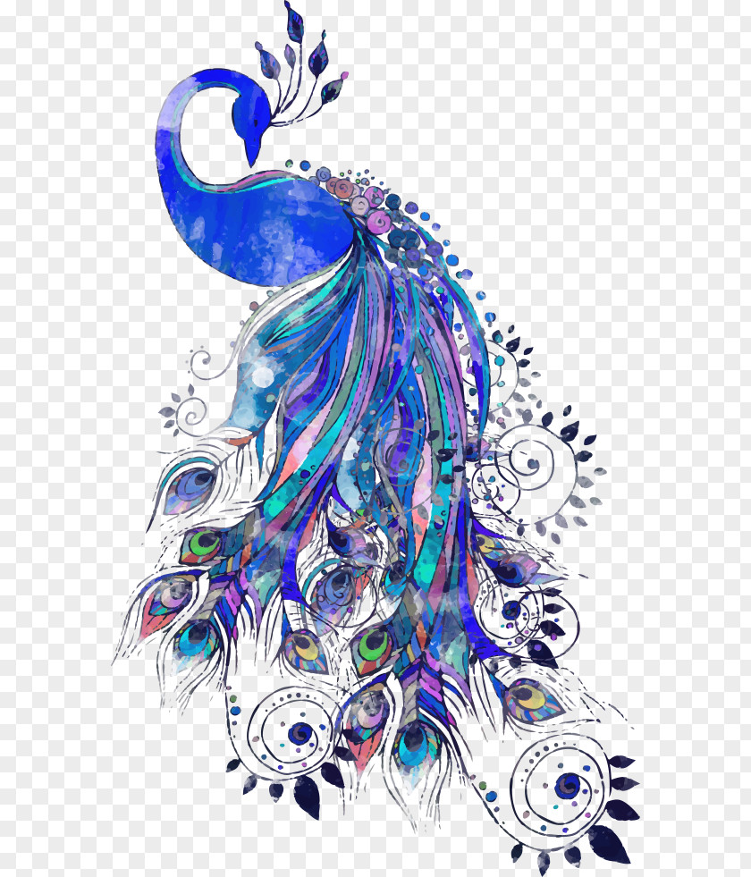 Vector Blue Peacock Peafowl Drawing Feather Illustration PNG