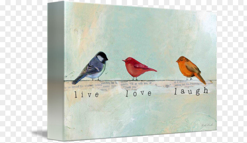 Live Laugh Love Finch Painting Beak Bird Gallery Wrap PNG