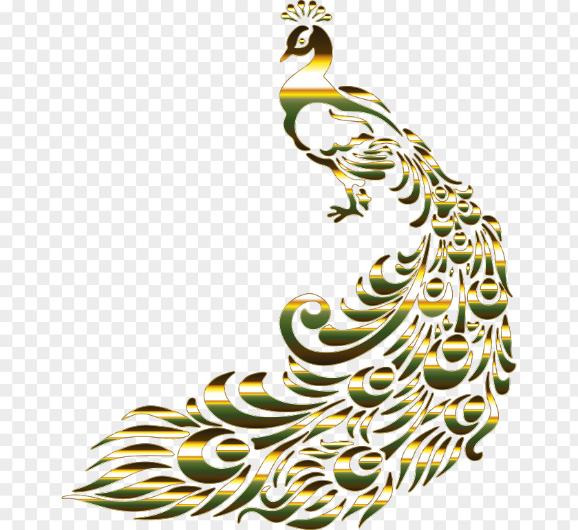 Peacock Bird Peafowl Desktop Wallpaper Drawing Clip Art PNG