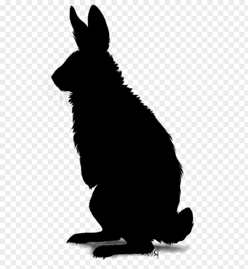 Domestic Rabbit Ramen Blog Ear PNG
