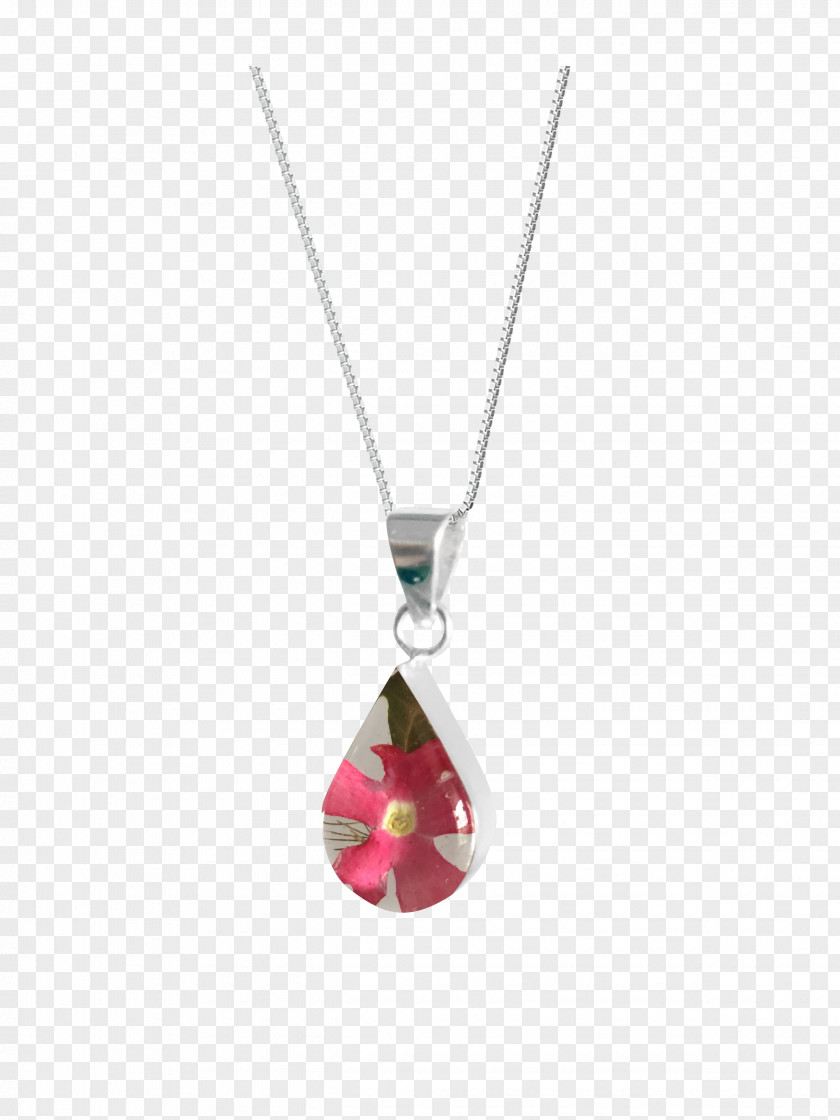 Jewellery Necklace Charms & Pendants Clothing Accessories Locket PNG