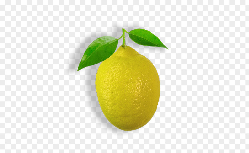 Lemon Persian Lime Sweet Key Citron PNG