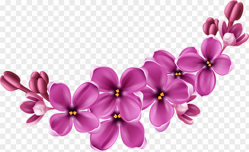Purple Health Products Centre Flower PNG