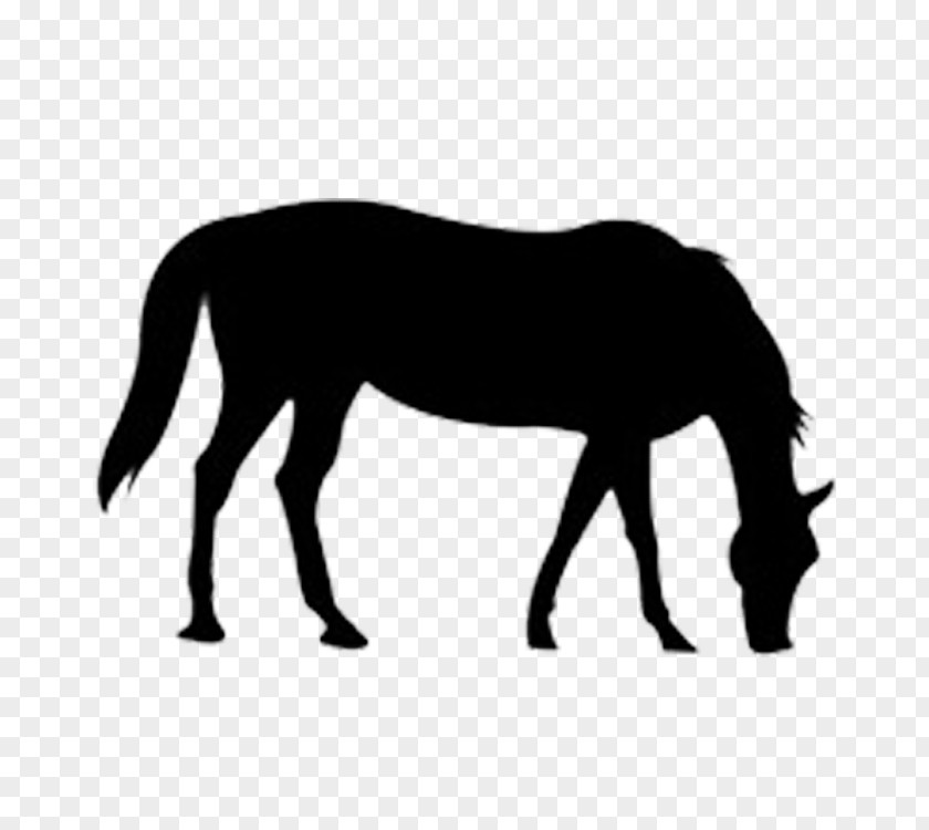 The Outline Of Horse Clip Art PNG