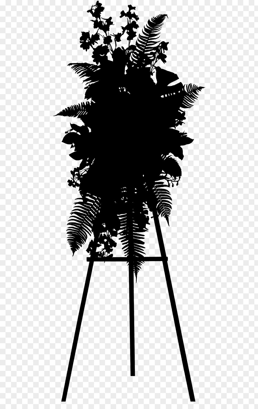 Asian Palmyra Palm Trees Leaf Pine Line PNG