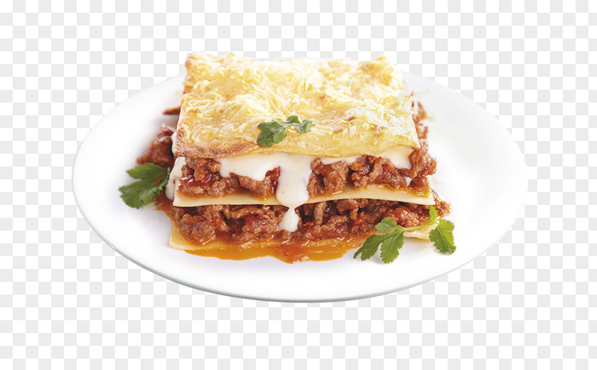 Cheese Lasagne Bolognese Sauce Koch Food PNG