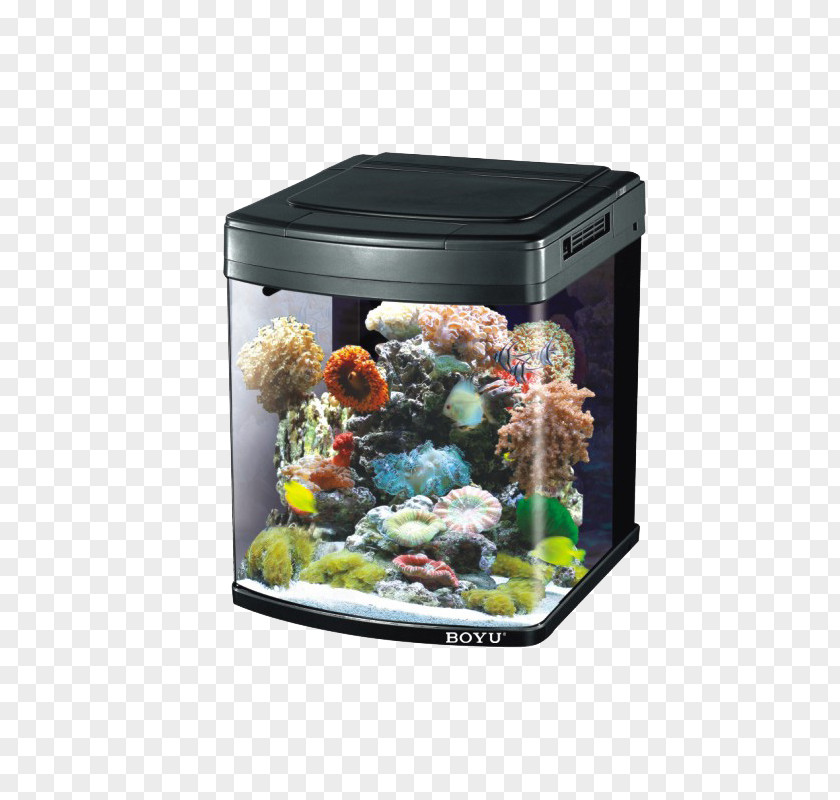 Fish Aquarium Protein Skimmer Aerator Akwarystyka Morska PNG