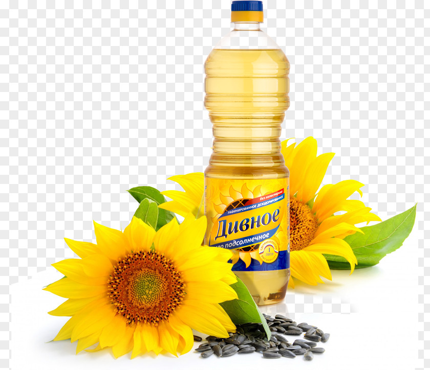 Girasoles Sunflower Oil Common Seed Palm PNG