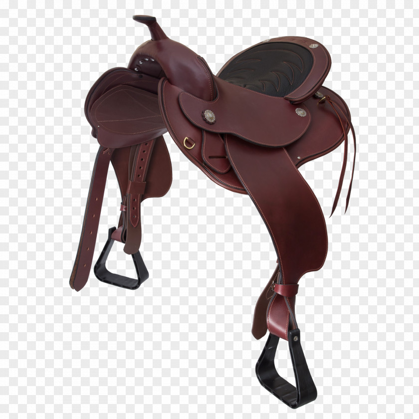 Horse Rein Halter Bridle Saddle PNG