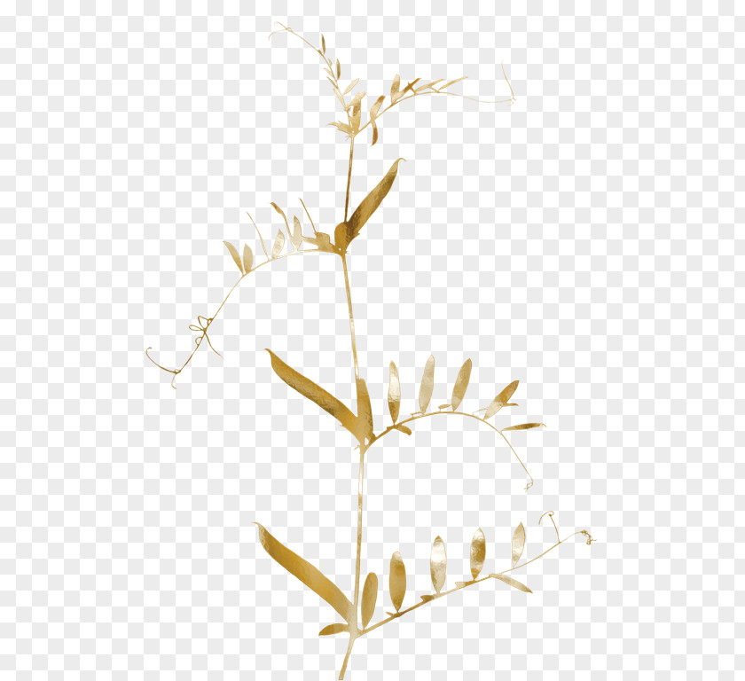 Leaf Twig Gold Tree PNG