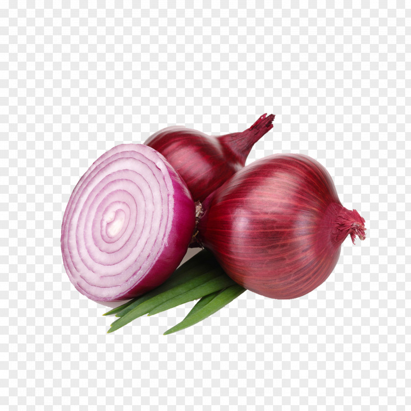Onion Red Shallot Vegetable Organic Food White PNG