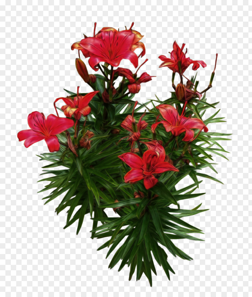 Red Flower Flowerpot Bucket Box Garden Barrel PNG