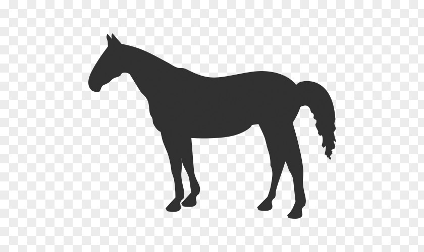 Silhouette American Quarter Horse Clip Art Vector Graphics Illustration Western Pleasure PNG