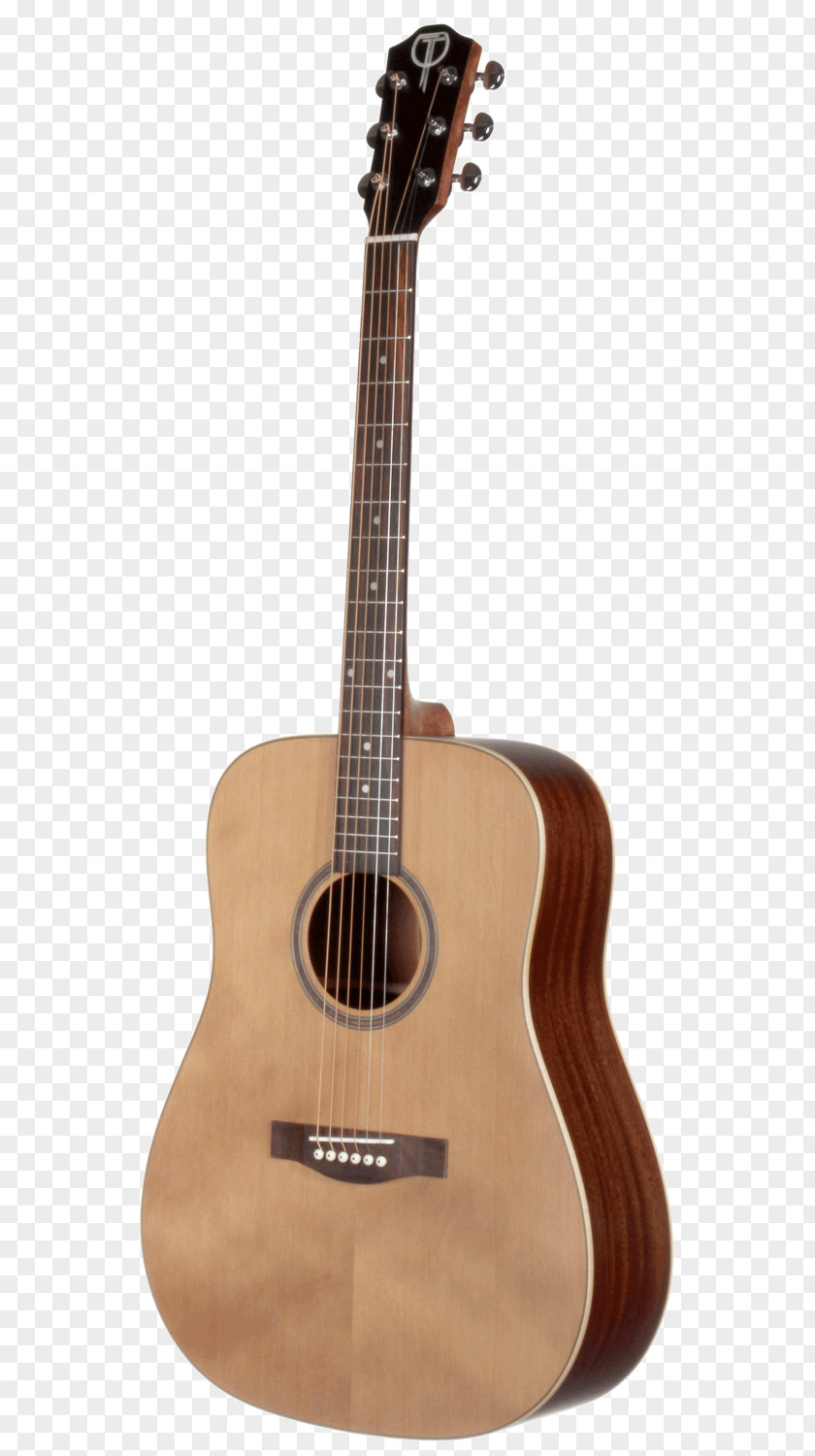 Acoustic Guitar Dreadnought Steel-string Twelve-string PNG