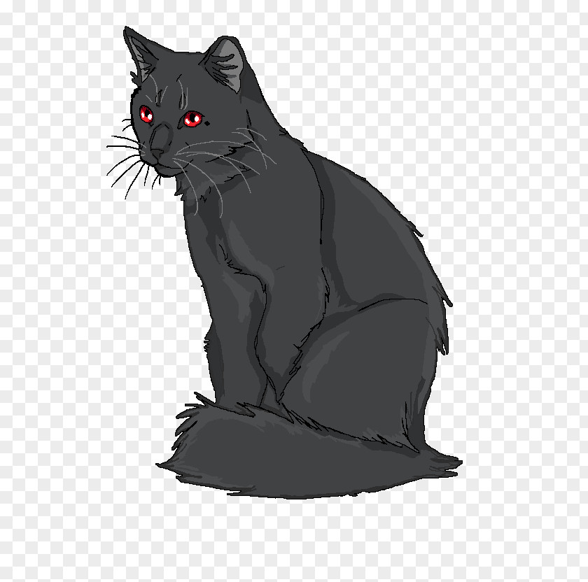 Dog Korat Black Cat Whiskers Domestic Short-haired PNG