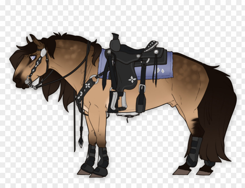 Horse Harnesses Saddle Pony Stallion PNG