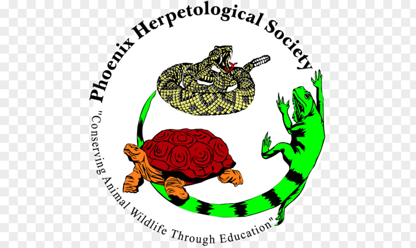 Phoenix Herpetological Society Toad Reptile Non-profit Organisation Snake PNG