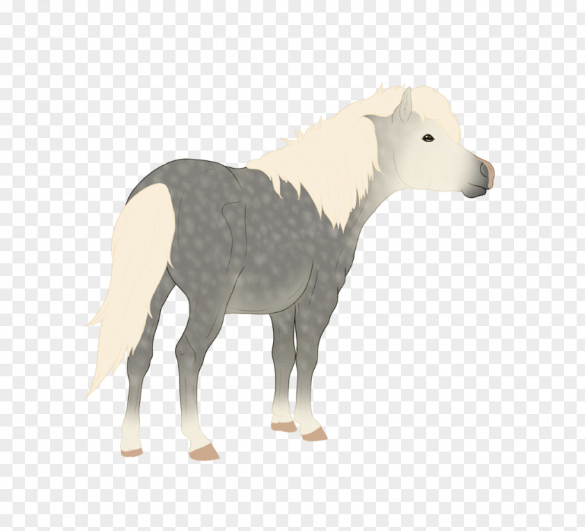 Sheep Mustang Stallion Donkey Cattle PNG