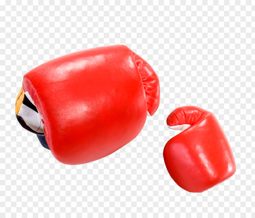 Boxing Gloves Glove PNG