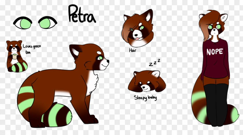 Cat Red Panda Giant Digital Art PNG