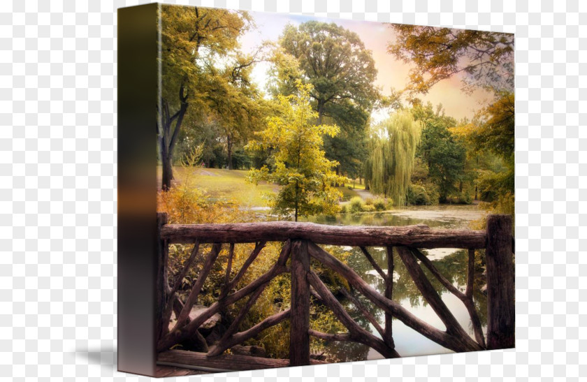 Painting Landscape Tree Forest Picture Frames PNG