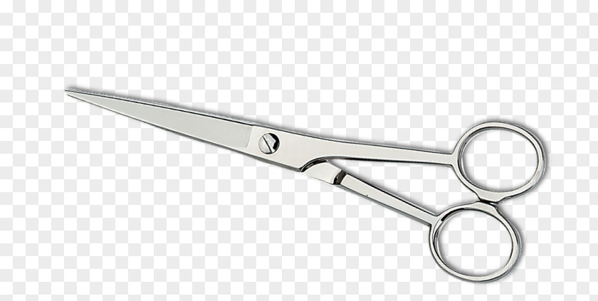 Scissors Coiffeur Bea Cosmetologist Hair-cutting Shears PNG