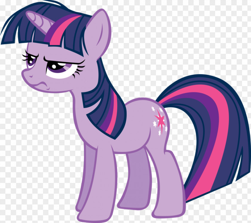 Twilight Sparkle Pony Princess Celestia Rarity Rainbow Dash PNG
