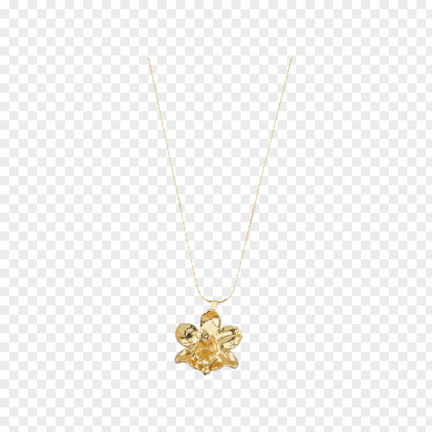 Jewellery Locket Body Necklace PNG