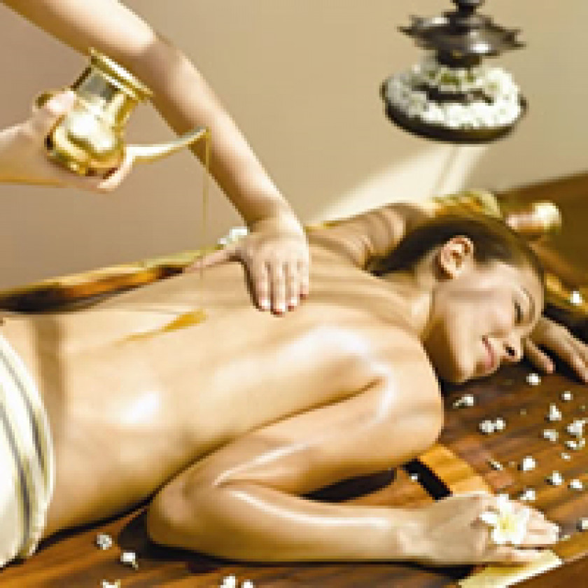 Kilpauk Therapy Panchakarma HealthMassage Green Ayurveda Spa PNG