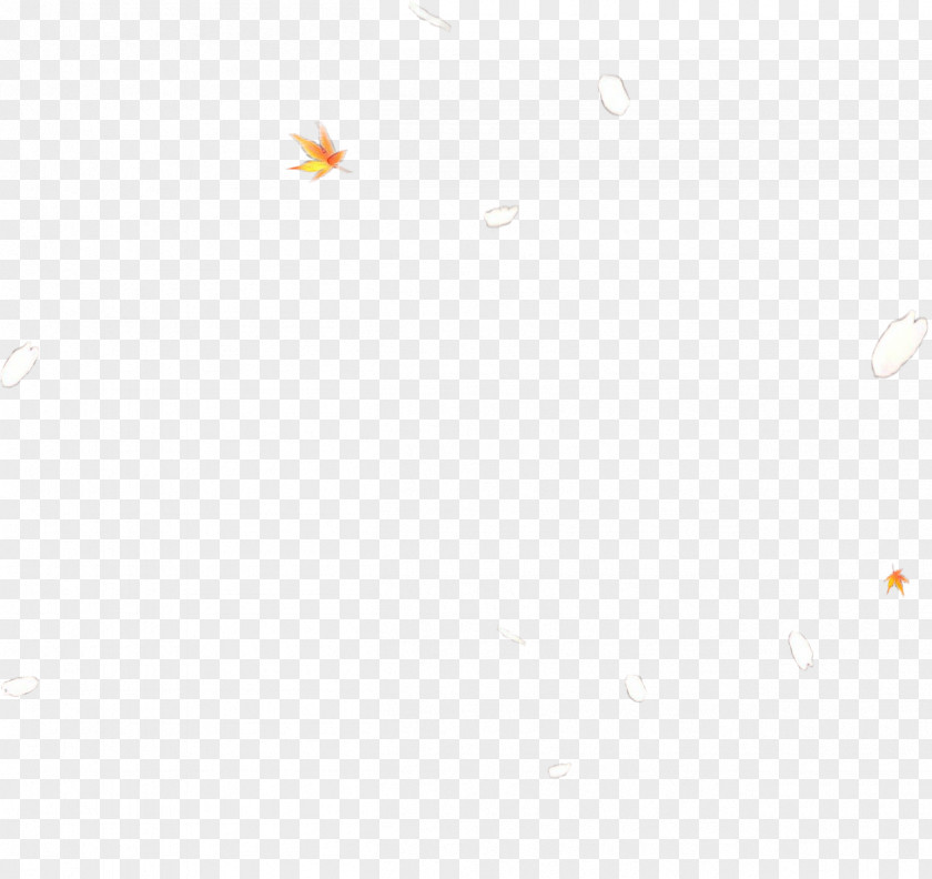 Logo Sky Orange PNG