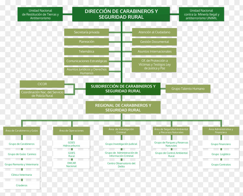 Police Organizational Chart Kriminaalpolitsei Directorate Of Criminal Investigation And Interpol PNG