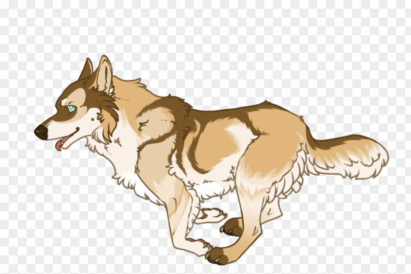 Dog Breed Red Fox Coyote Wolf PNG