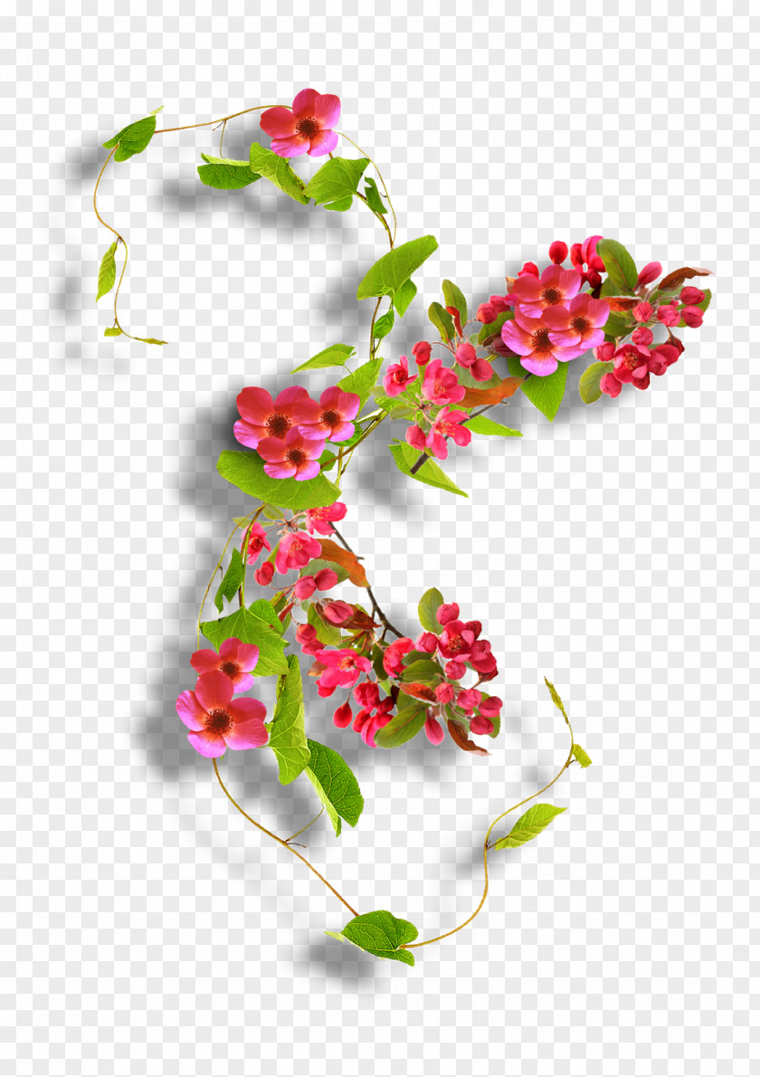 Flower Floral Design Artificial Cut Flowers PNG