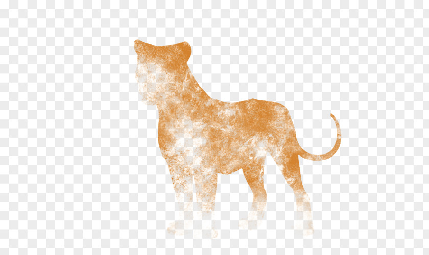 Lion Cat Dog Canidae Terrestrial Animal PNG