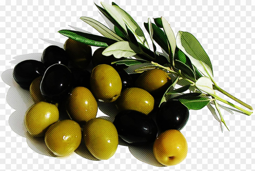 Olive Family Ingredient Oil PNG
