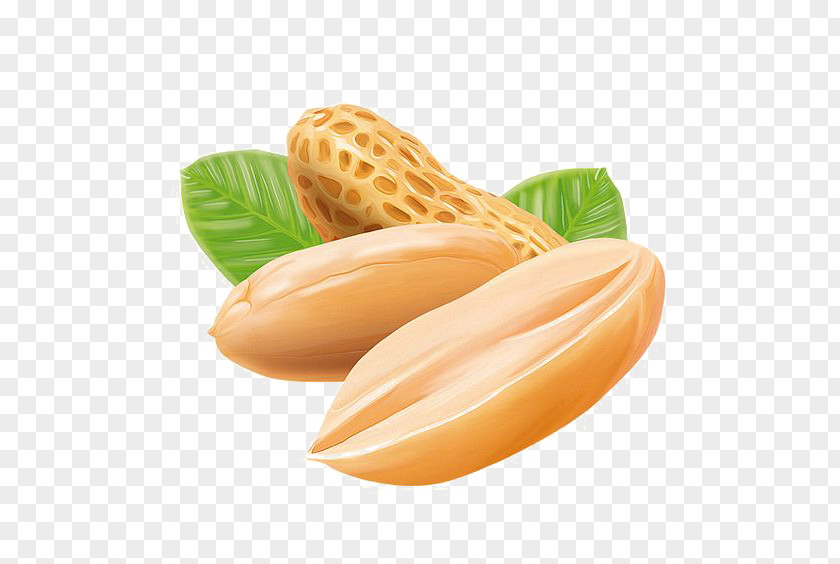 Peanut Butter PNG