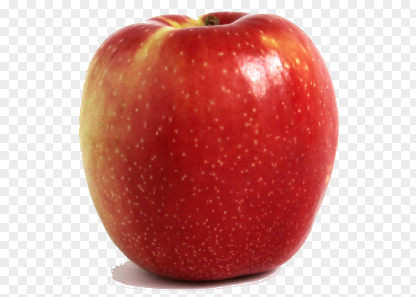 Apple McIntosh Red SweeTango Gala Ambrosia PNG