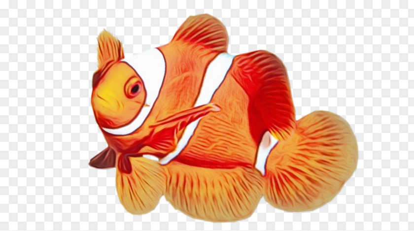Aquarium Decor Goldfish Orange PNG