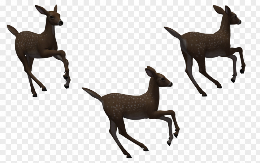 Fawn Deer Silhouette PNG